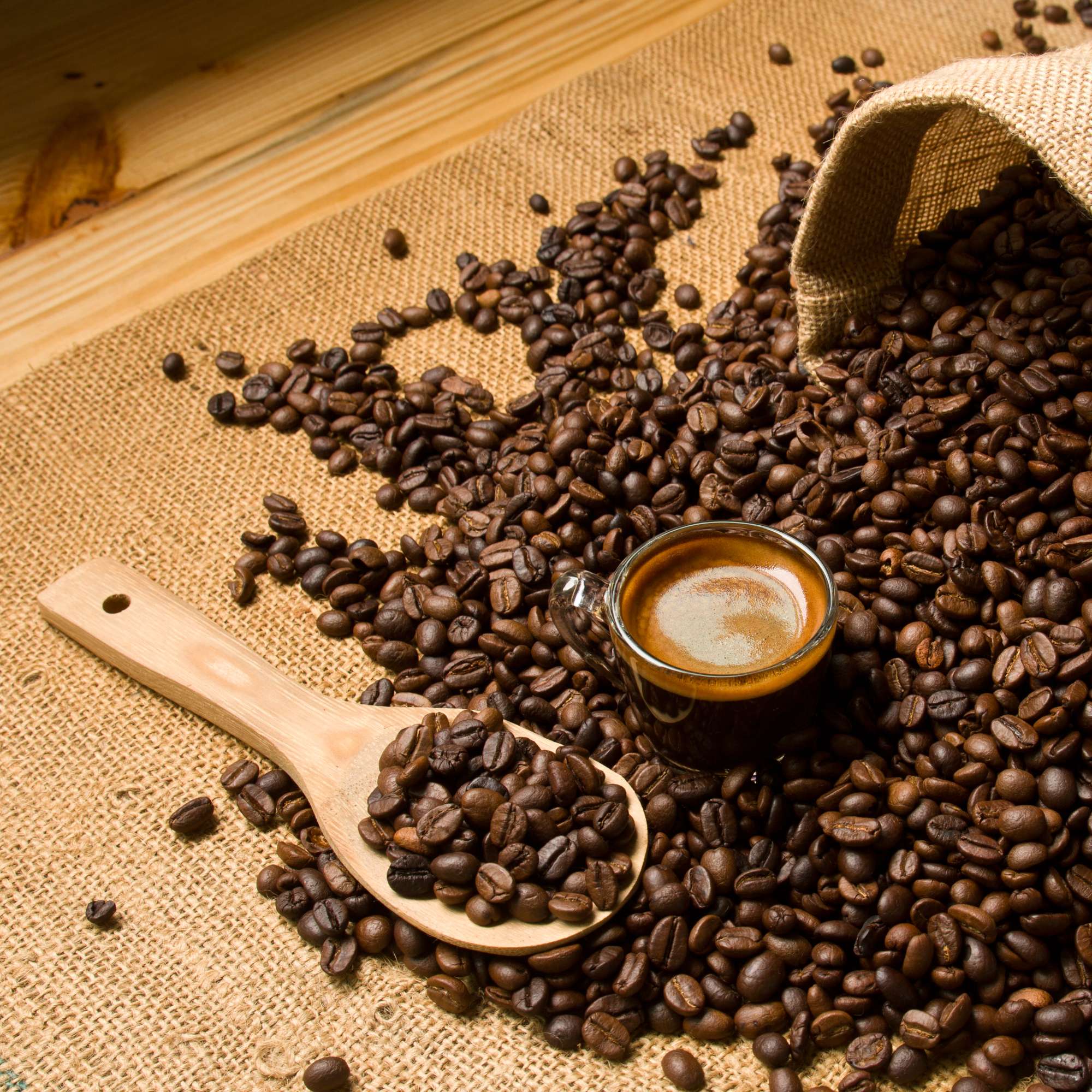 Robusta coffee