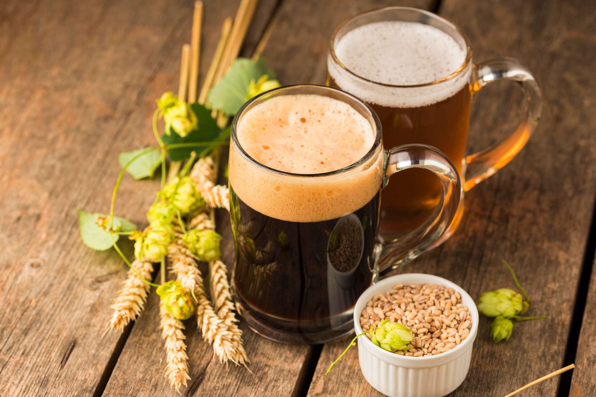 Are fermented foods good for health?