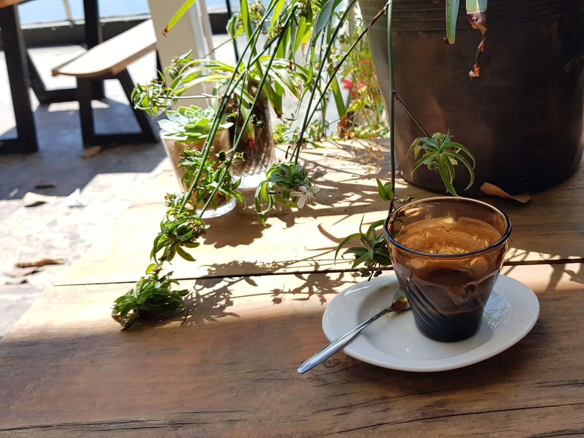 Why say coffee can help you lose weight ?