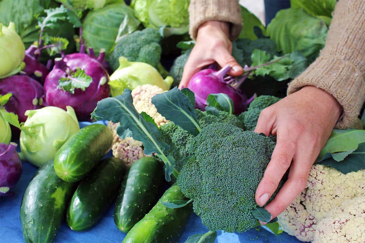 Nowaday we should understand the difference between the names organic food or natural food and health food.
