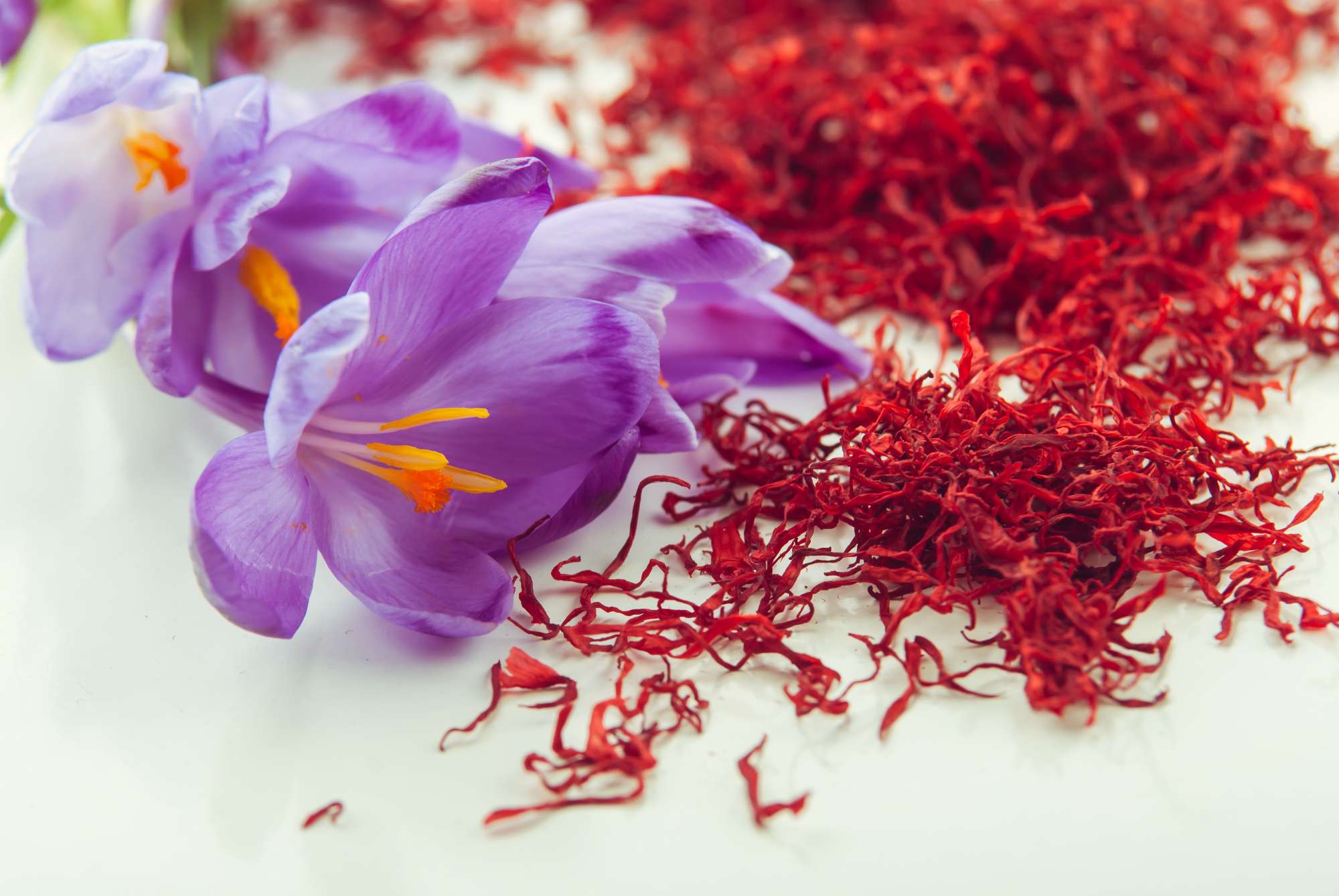 What do you know about Saffron?
