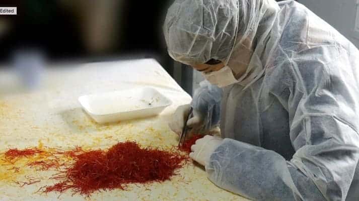 Nutritional value of each type of saffron
