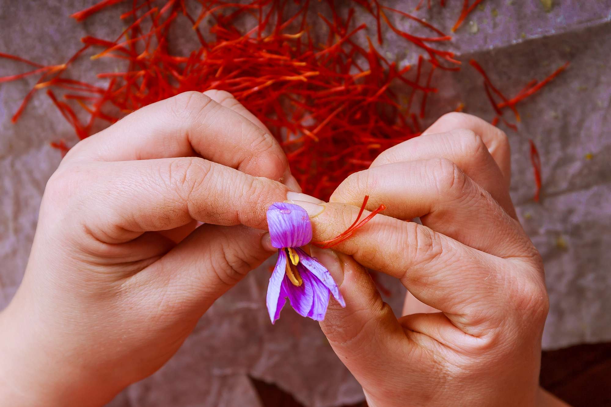 Saffron, a nutritional powerhouse