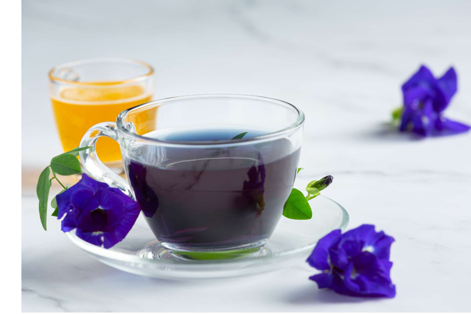 Trà hoa đậu biếc, thức uống giàu các hợp chất chống viêm