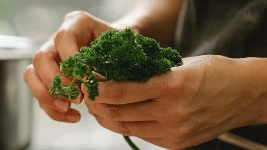 What is Veganism?